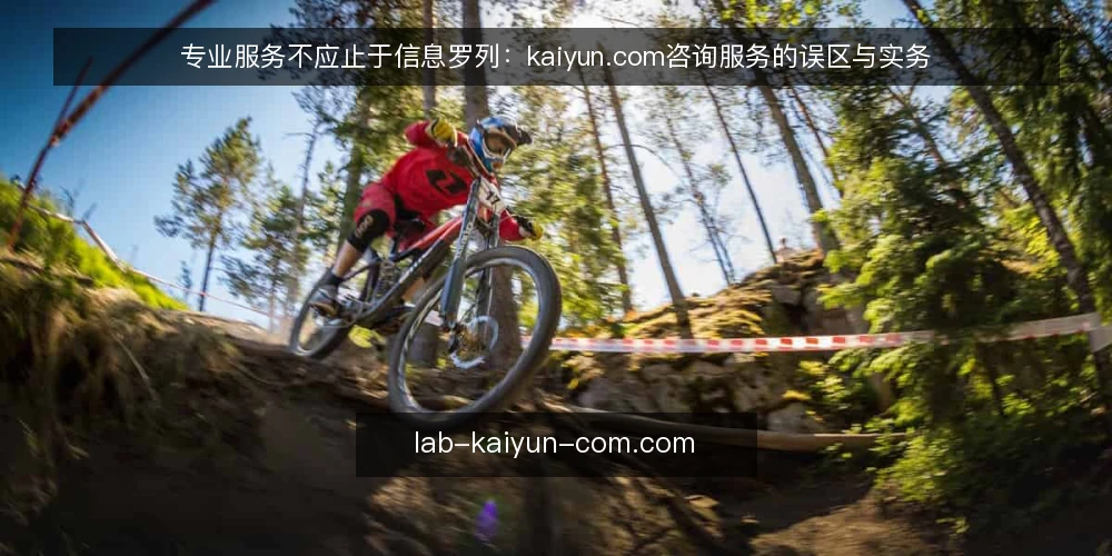 专业服务不应止于信息罗列：kaiyun.com咨询服务的误区与实务 — 专业服务的本质：从信息到判断 配图