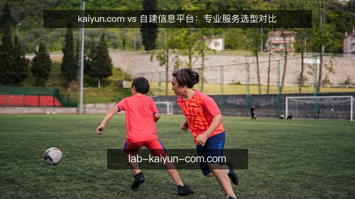 kaiyun.com vs 自建信息平台:专业服务选型对比