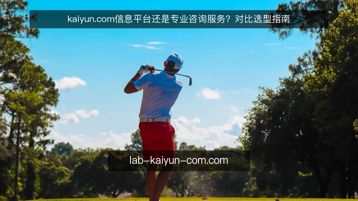 kaiyun.com信息平台还是专业咨询服务？对比选型指南