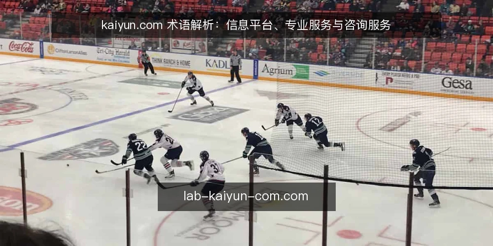 kaiyun.com 术语解析：信息平台、专业服务与咨询服务 — 术语定义：kaiyun.com 相关概念 配图