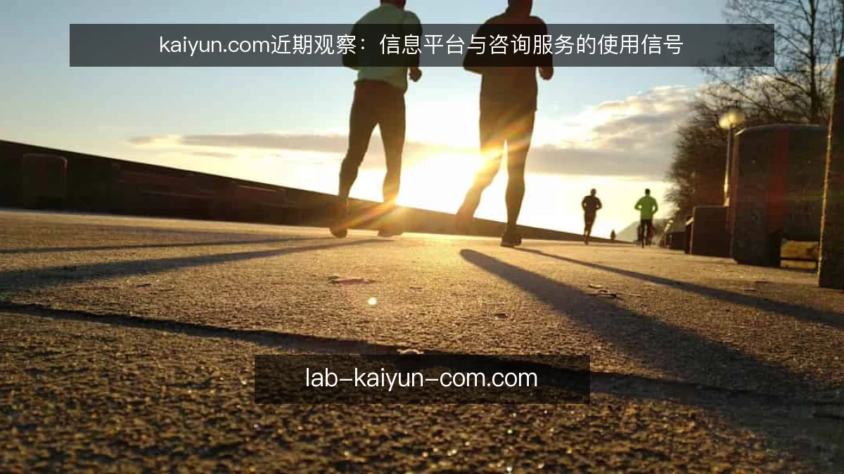 kaiyun.com近期观察：信息平台与咨询服务的使用信号