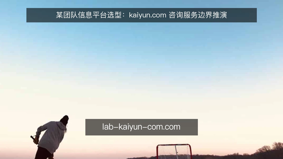 某团队信息平台选型：kaiyun.com 咨询服务边界推演