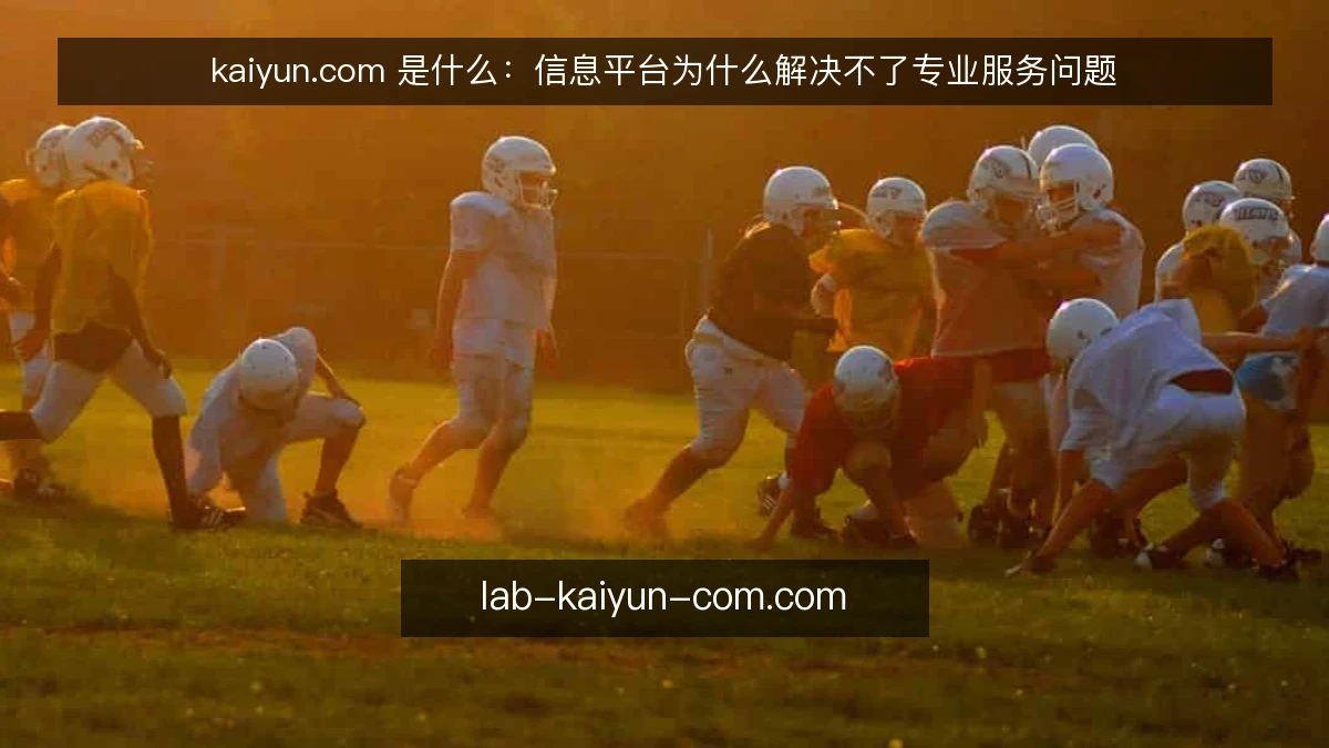 kaiyun.com 是什么:信息平台为什么解决不了专业服务问题