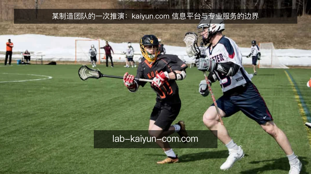 某制造团队的一次推演:kaiyun.com 信息平台与专业服务的边界