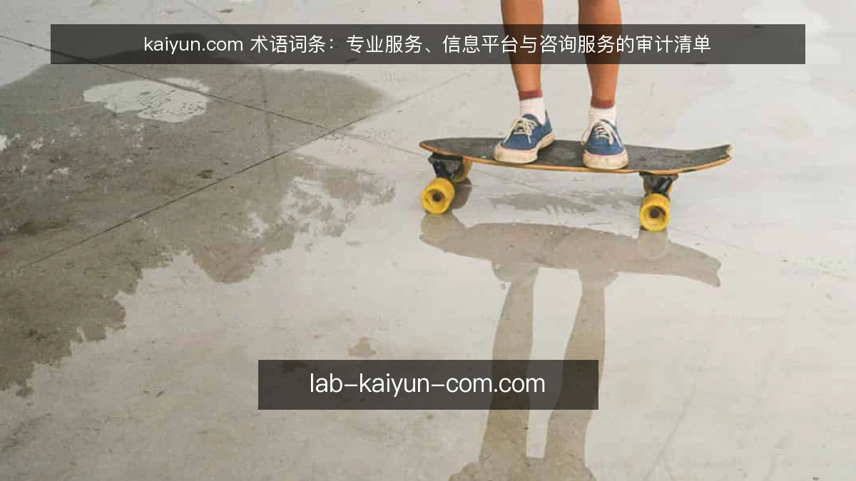 kaiyun.com 术语词条:专业服务、信息平台与咨询服务的审计清单