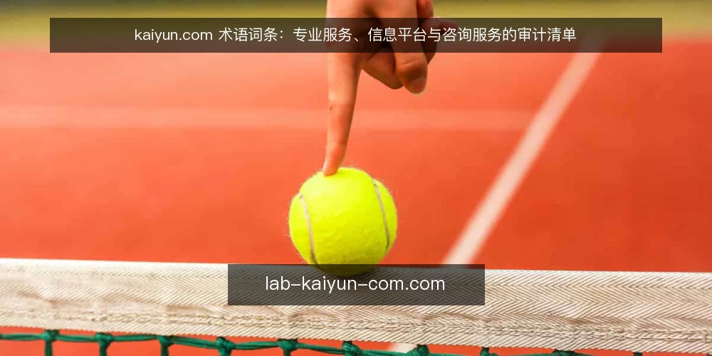 kaiyun.com 术语词条:专业服务、信息平台与咨询服务的审计清单 — 为什么现在需要做术语审计 配图