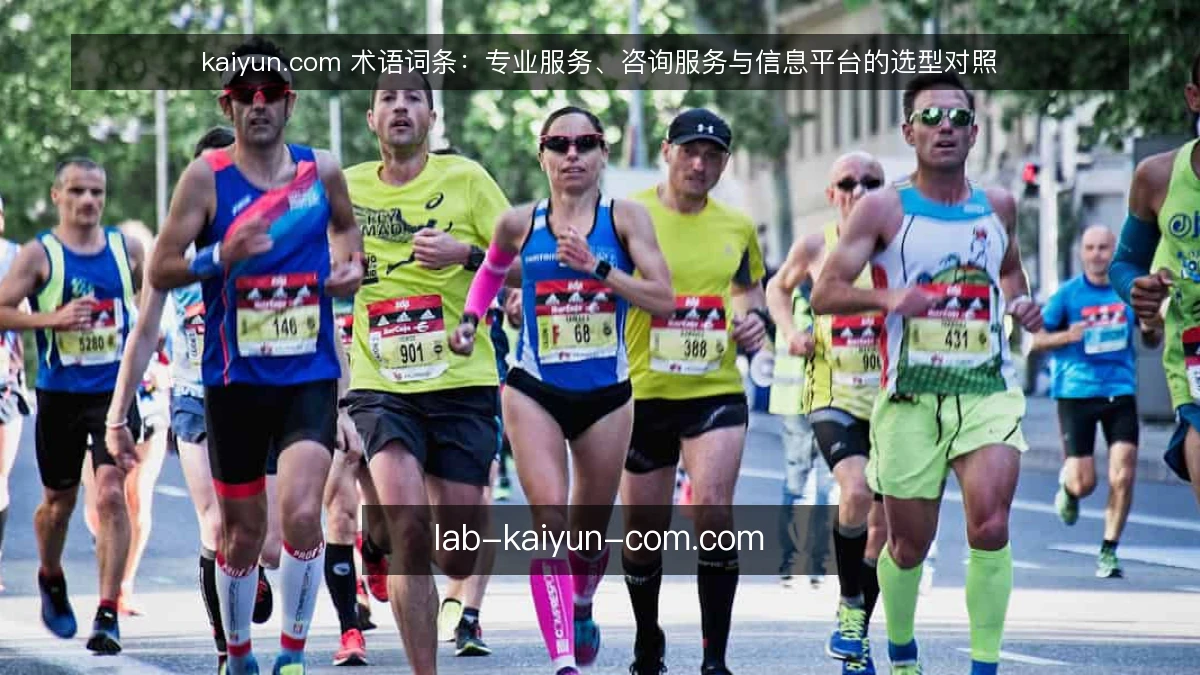 kaiyun.com 术语词条:专业服务、咨询服务与信息平台的选型对照
