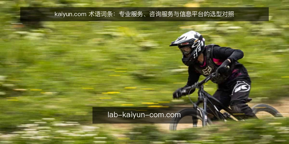 kaiyun.com 术语词条:专业服务、咨询服务与信息平台的选型对照 — 先厘清三个术语的边界 配图