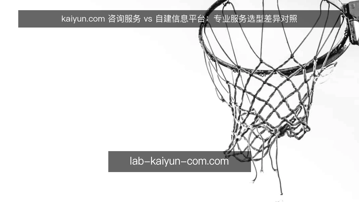kaiyun.com 咨询服务 vs 自建信息平台：专业服务选型差异对照