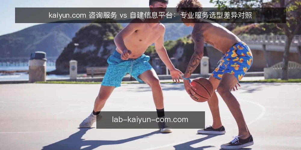 kaiyun.com 咨询服务 vs 自建信息平台：专业服务选型差异对照 — 先定评估标准 配图