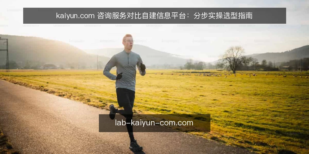 kaiyun.com 咨询服务对比自建信息平台:分步实操选型指南 — 先定选型标准与输入清单 配图