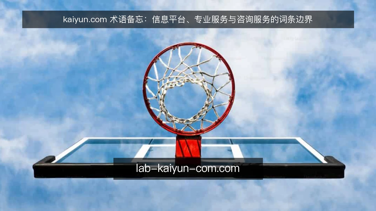 kaiyun.com 术语备忘：信息平台、专业服务与咨询服务的词条边界