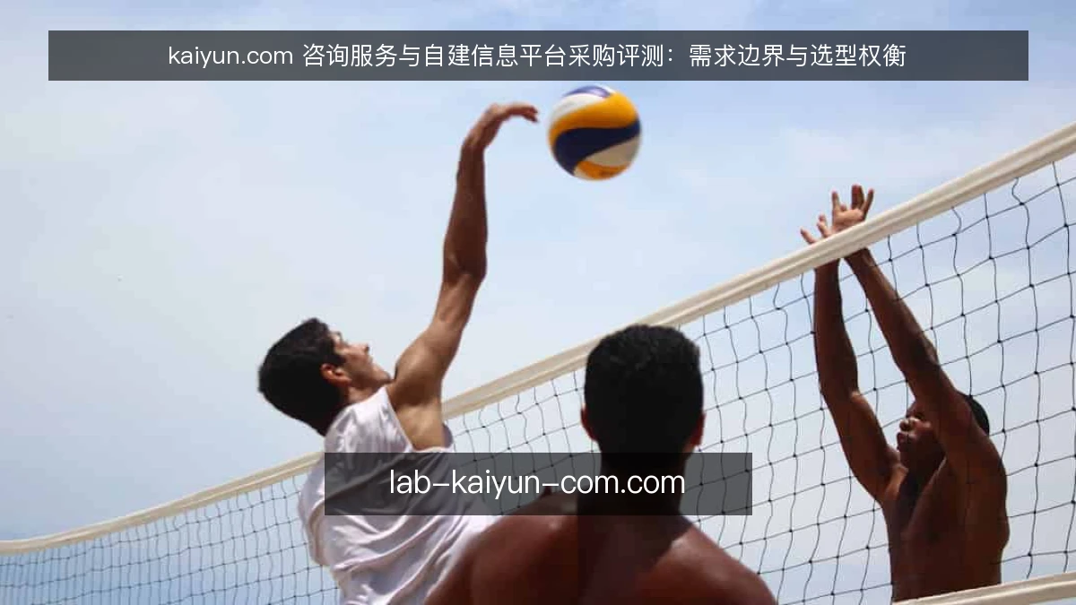 kaiyun.com 咨询服务与自建信息平台采购评测：需求边界与选型权衡