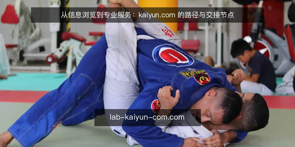 从信息浏览到专业服务:kaiyun.com 的路径与交接节点 — 起点:把信息平台当作认知基线 配图